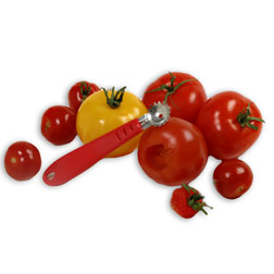 Strawberry & Tomato Corer