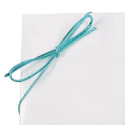 Stretch Loop 19" Turquoise