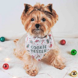 Reversible Christmas Dog or Cat Bandana - Small