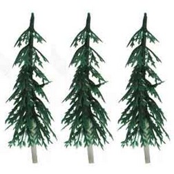 Small Evergreen Trees