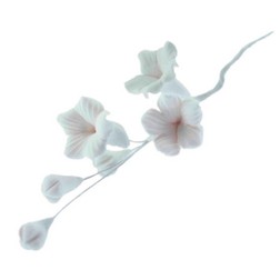 Gum Paste Stephanotis Filler Spray