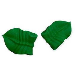 Royal Icing Leaves Icing Decorations
