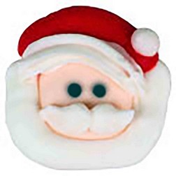 Icing Layons - Santa