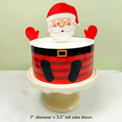 Whimsy Santa Cake Kit
