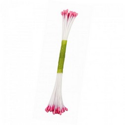 Pink Stamens - Medium