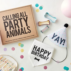 Pet Birthday Book Box Set