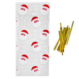 Santa Claus Treat Bags