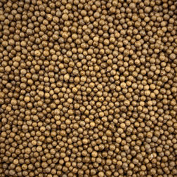 Brown Pearl Nonpareil Sprinkles