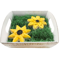 Green Food Safe Shredded Wax Paper