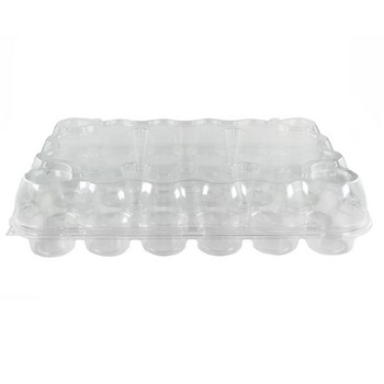 Disposable Plastic Bakery Containers