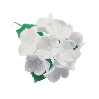 Gum Paste and Fondant Flowers and Accents