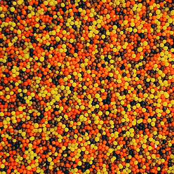 Thanksgiving, Fall Sprinkles
