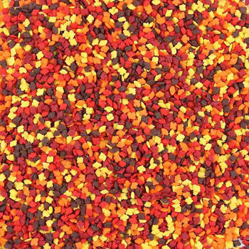 Thanksgiving, Fall Sprinkles