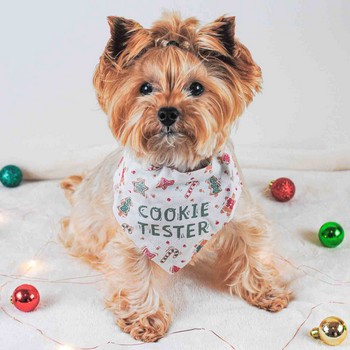 Pet Novelties