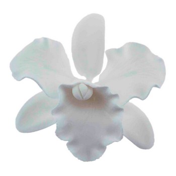 Gum Paste and Fondant Flowers and Accents