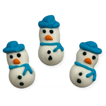 Winter Icing Decorations
