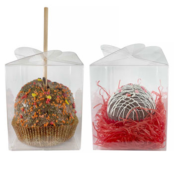 Hot Cocoa Bomb Packaging