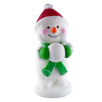 Winter Icing Decorations