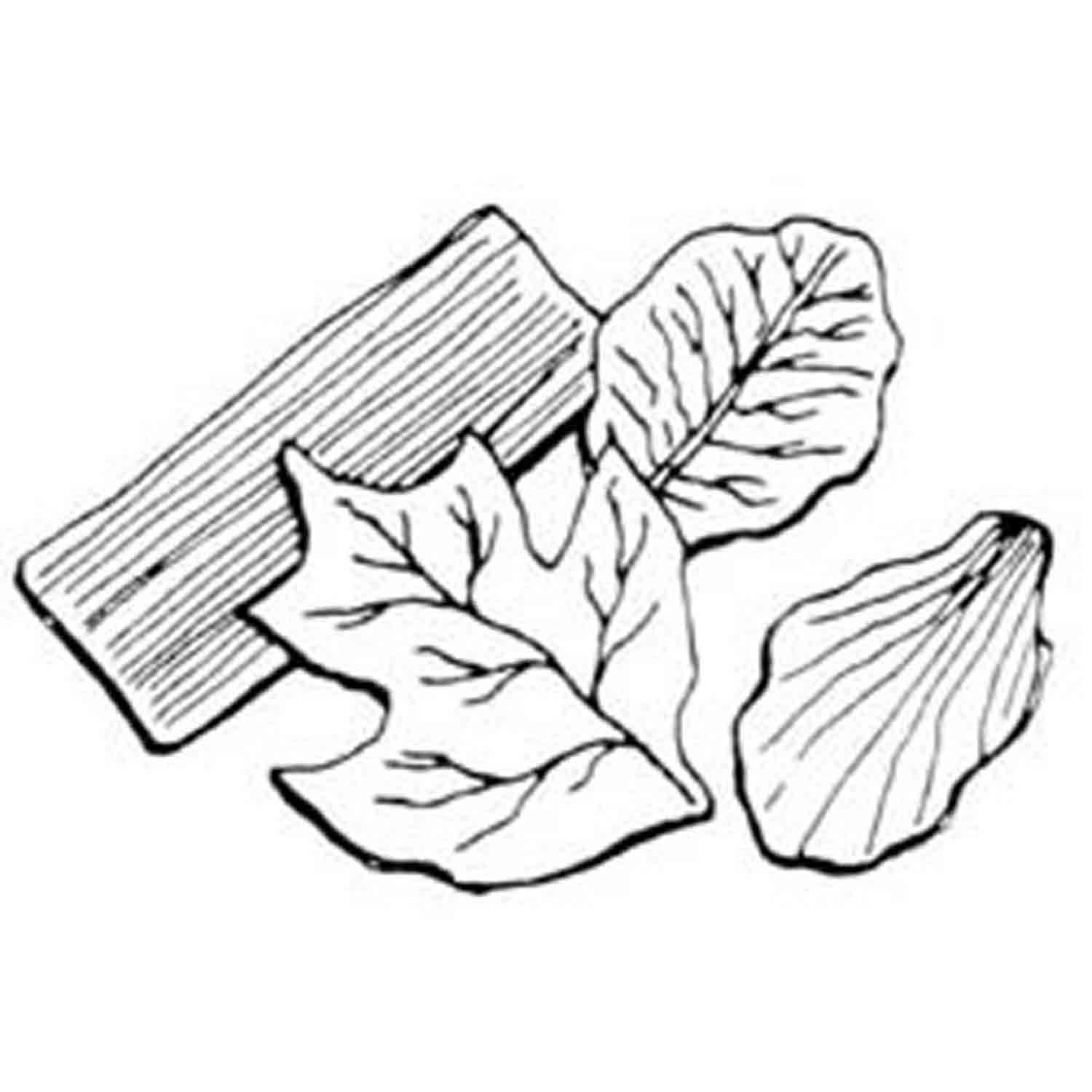 Gum Paste Leaf Veiner Set (B)