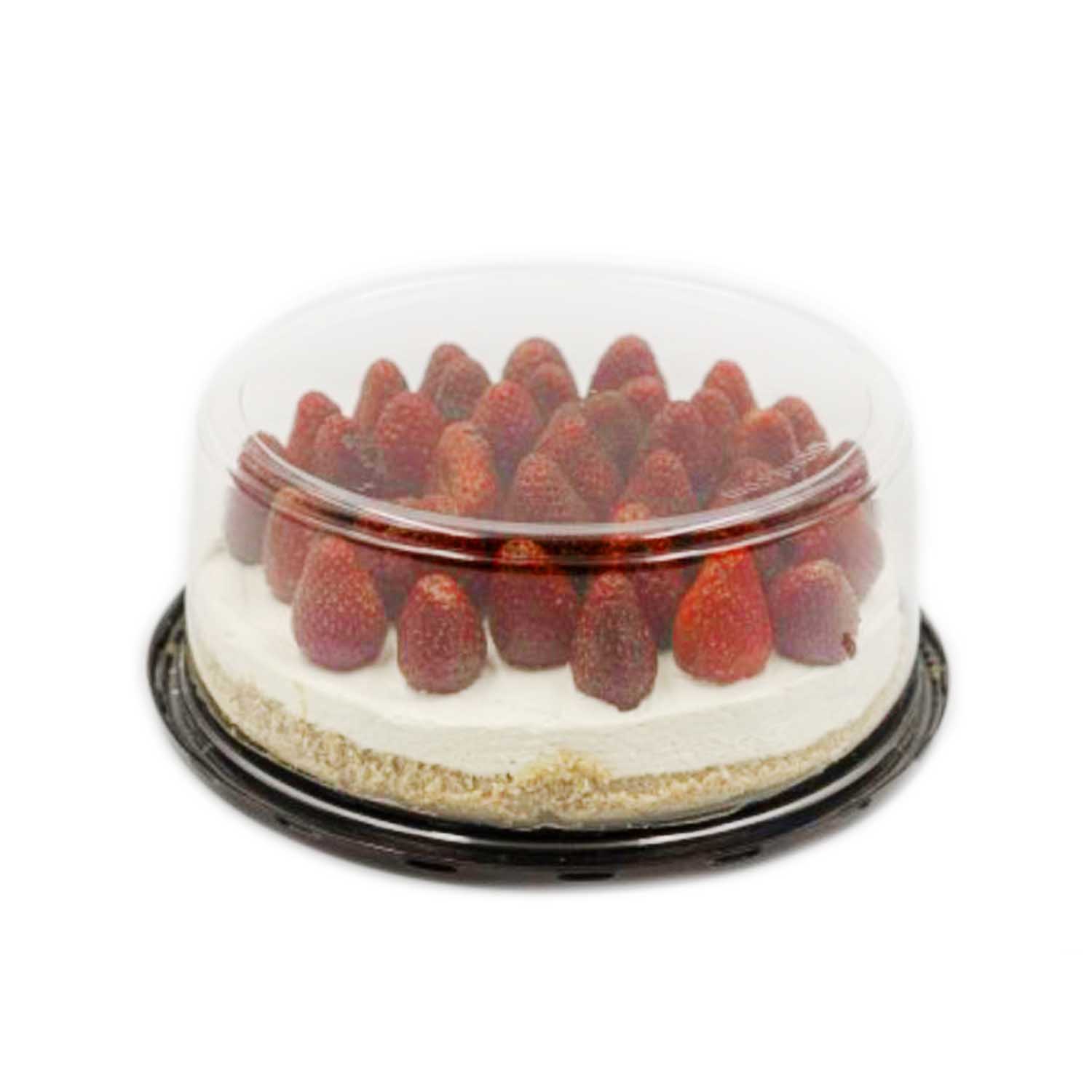 Plastic Shell - 6" Cheesecake