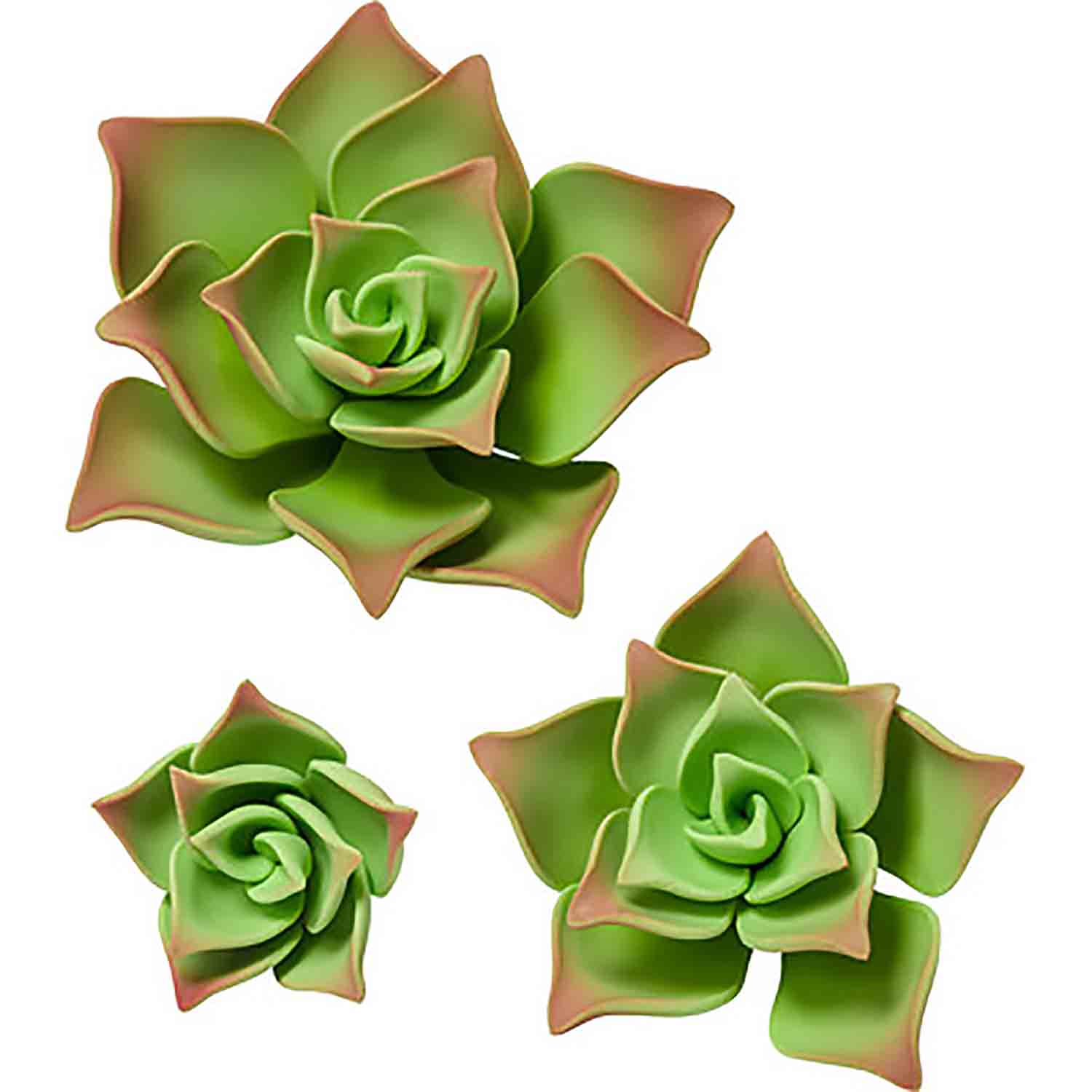 Green Gum Paste Succulents