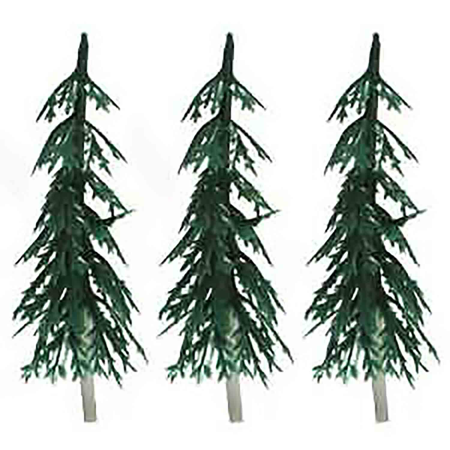 Small Evergreen Trees