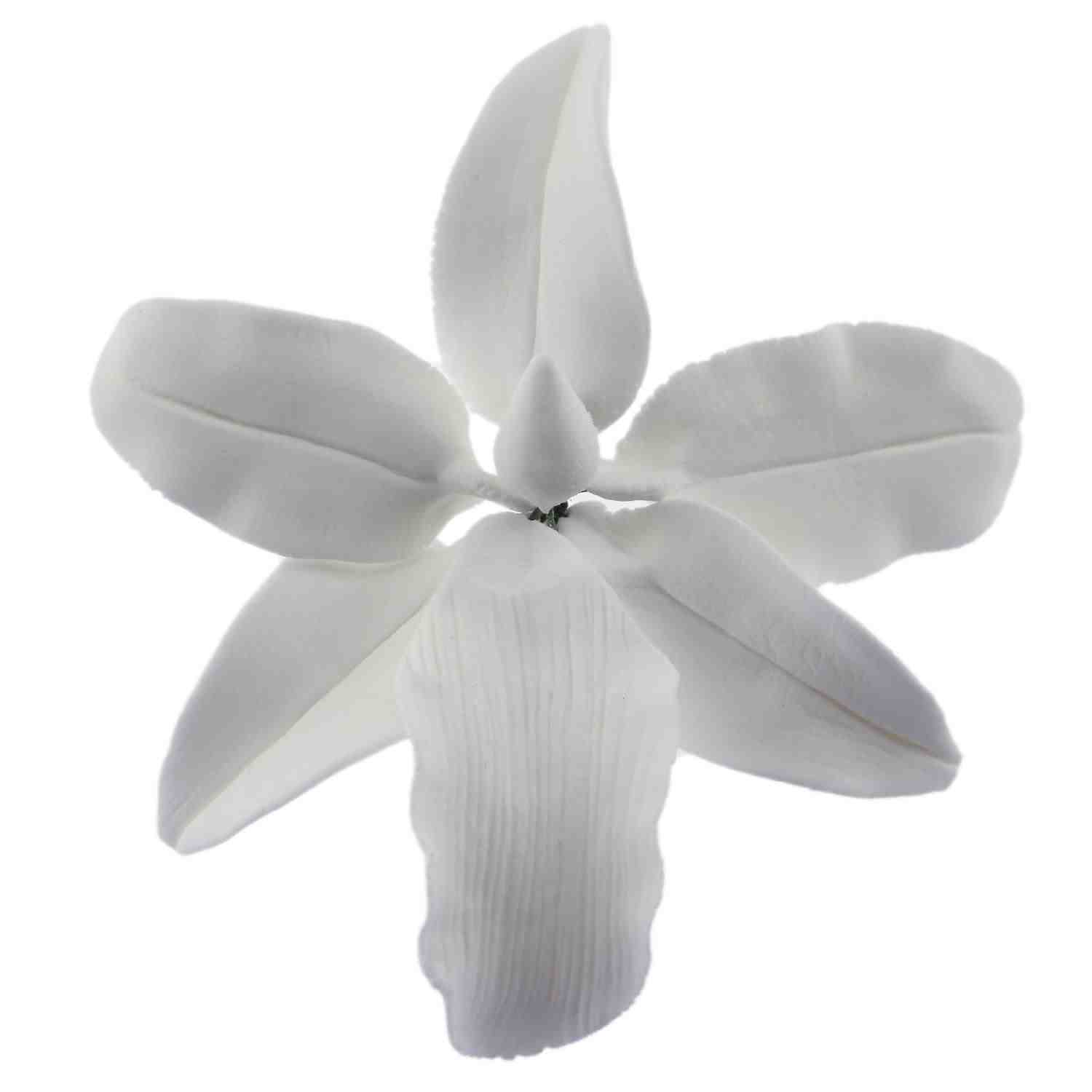 White Vuylstekeara Orchid Gum Paste Flower