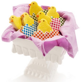 Baby Chick Chocolate Coated Cookies