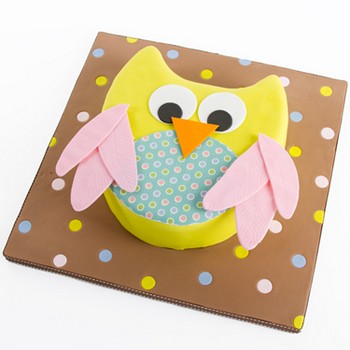 Whimsy Owl Cake
