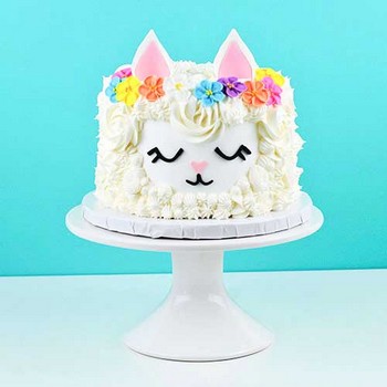 Floral Llama Cake