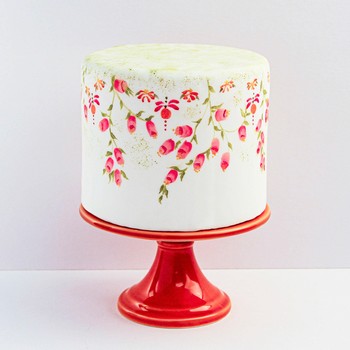 Painted Floral Cake