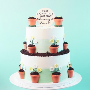 Flower Pot Cake