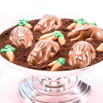 Chocolate Bunnies & Carrots