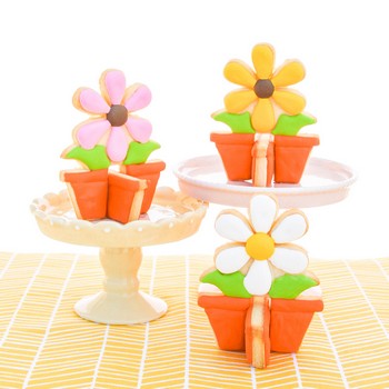 3D Flower Pot Cookies