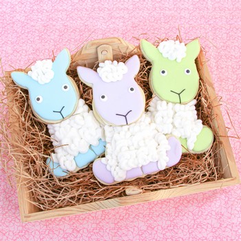 Cute Sheep Cookies