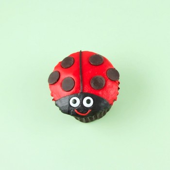 Ladybug Cupcake