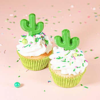 Chocolate Cactus Cupcakes