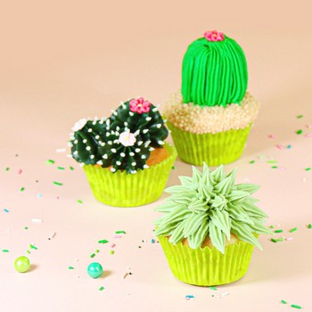 Buttercream Cactus & Succulent Cupcakes