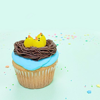 Nest with Birds Cupcake