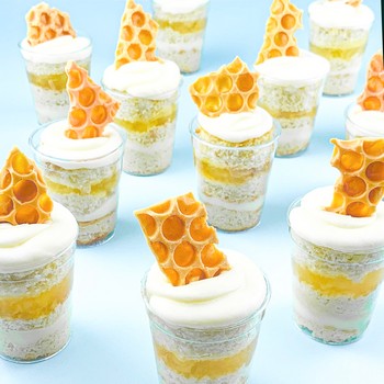 Hummingbird Honey Cake Shooters