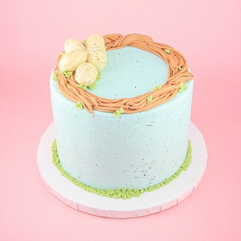 Robin Egg Nest Cake