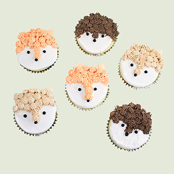 Woodland Animal Decorated Cupcakes