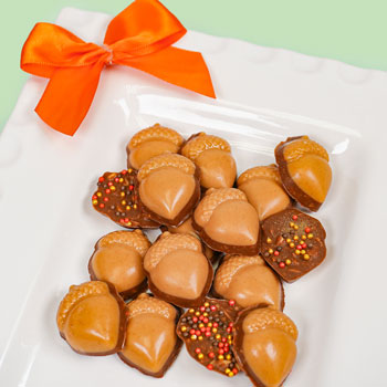 Peanut Butter Crunch Bark