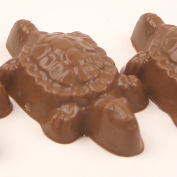 Molded Tortoises