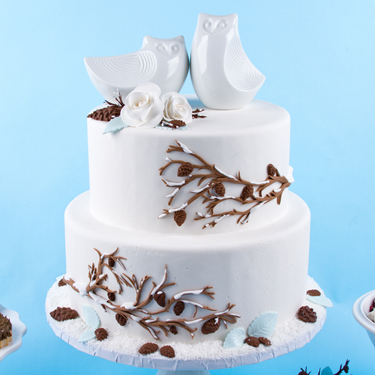 Winter Wedding Owls Cake