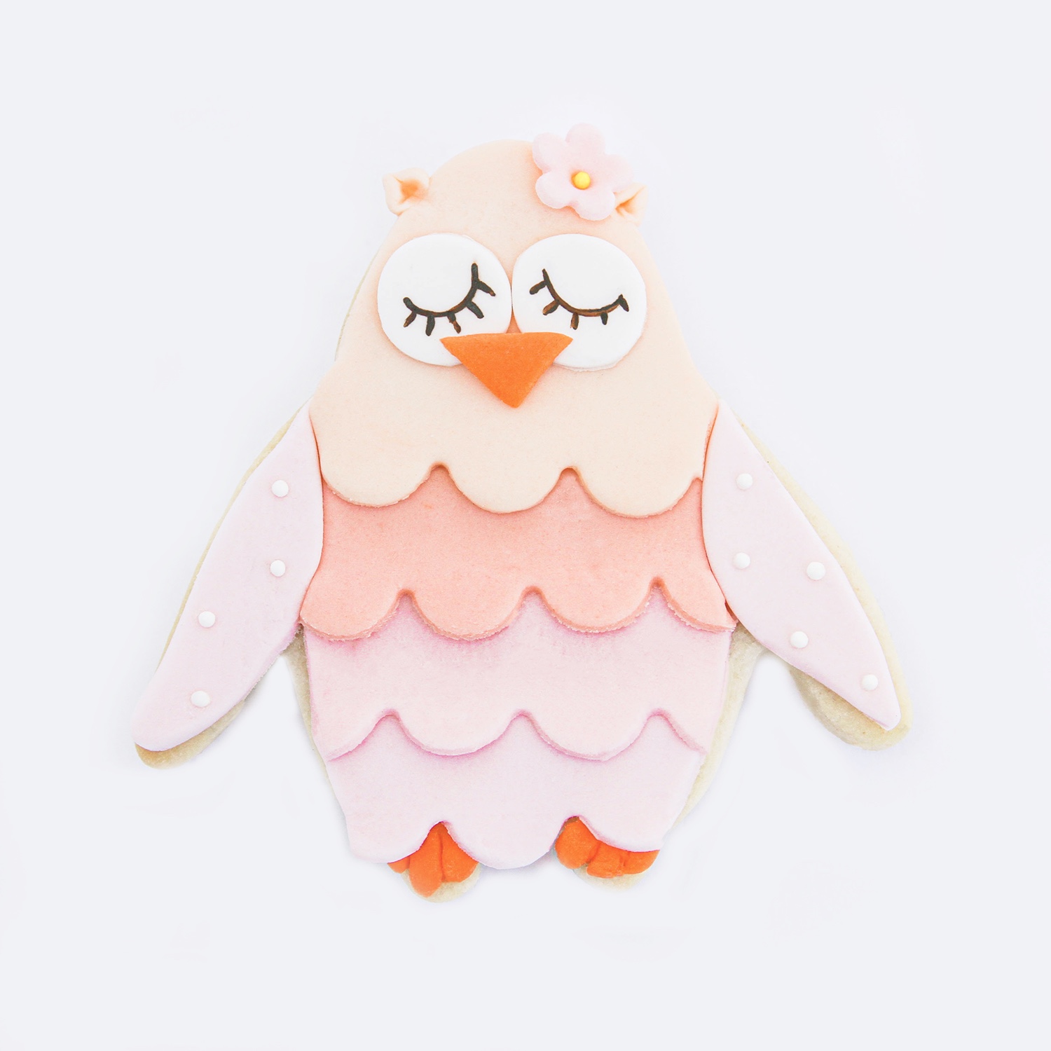 Floral Owl Cookie
