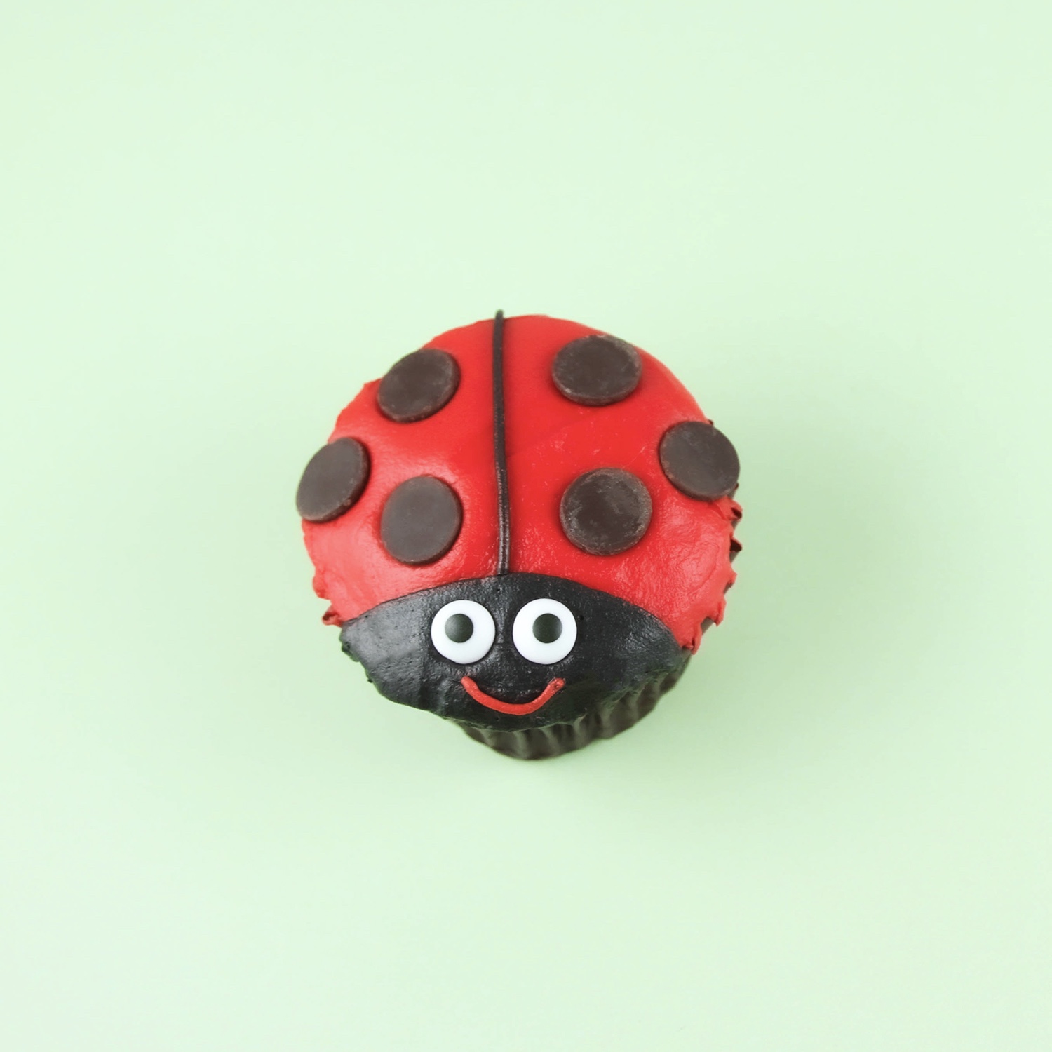 Ladybug Cupcake