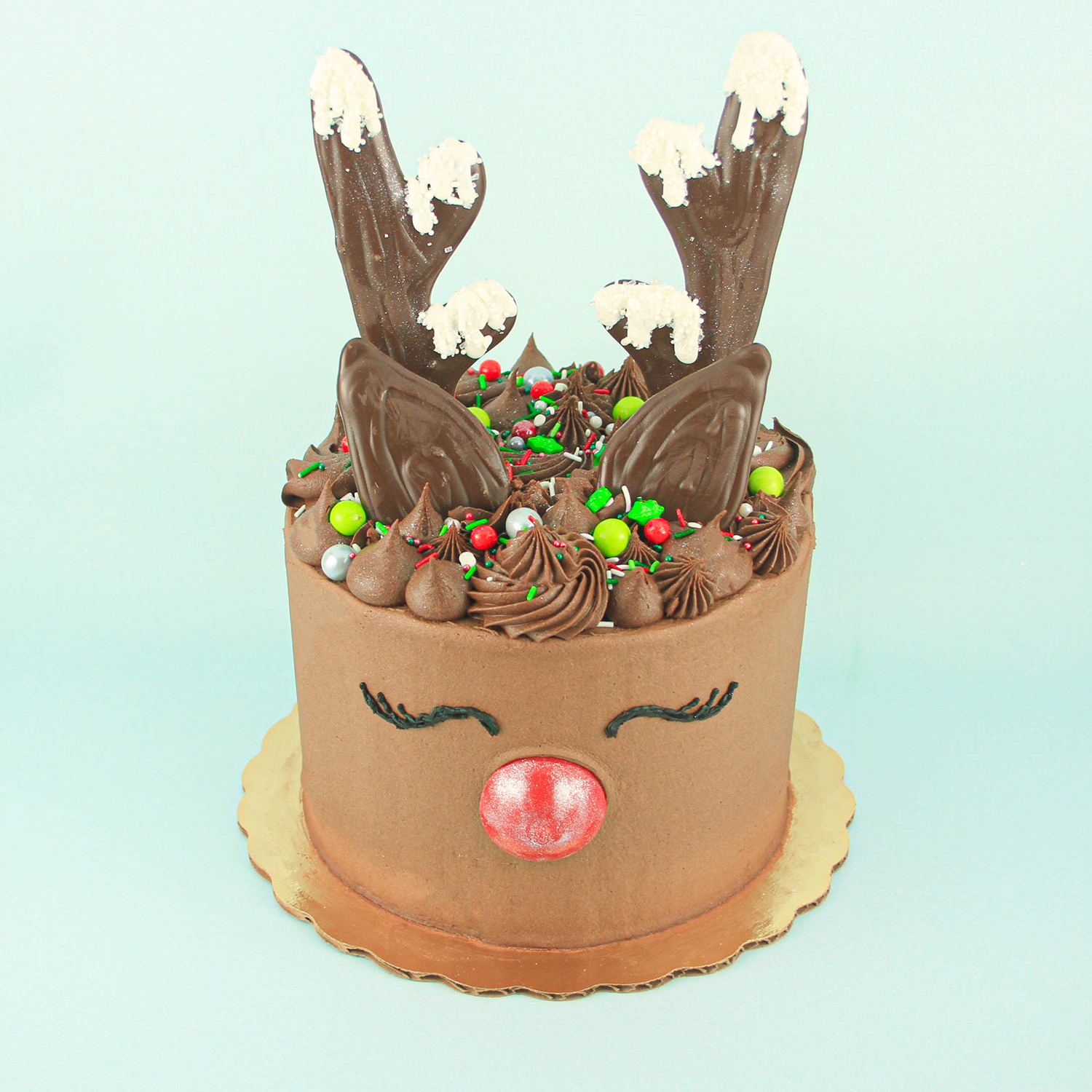 Chocolate Reindeer Cake with a truffle red nose and white chocolate snow covered choclate antlers.