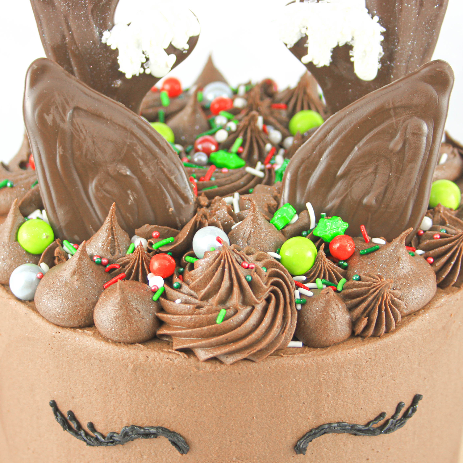 Chocolate Reindeer cake with snow covered chocolate antlers, chocolate ears, chocolate buttercream crown of swirls and dollops and sprinkles, black buttercream eyelashes and a red chocolate sparkling nose.