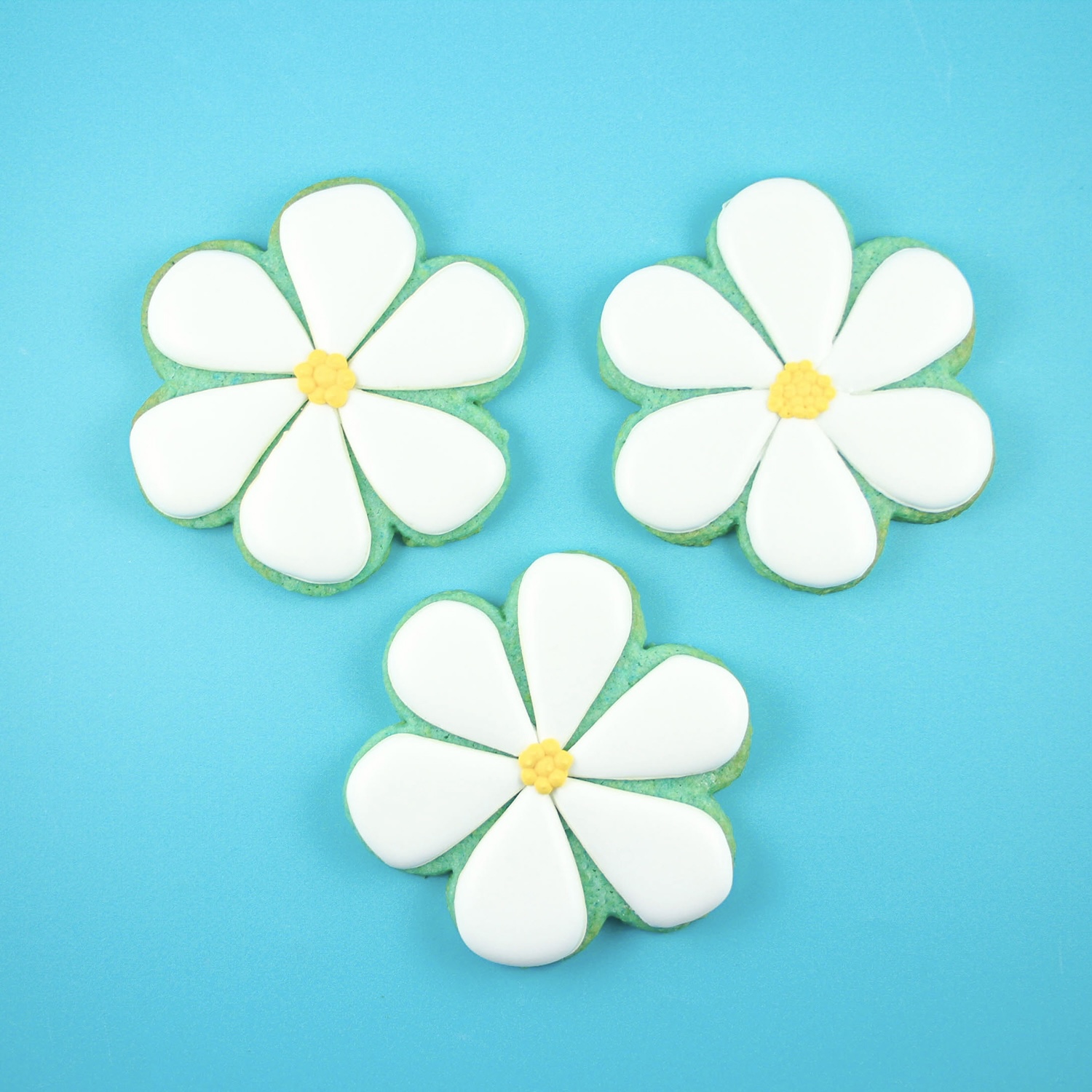 Three flower blue sugar cookies decorated in royal icing to resemble daisies